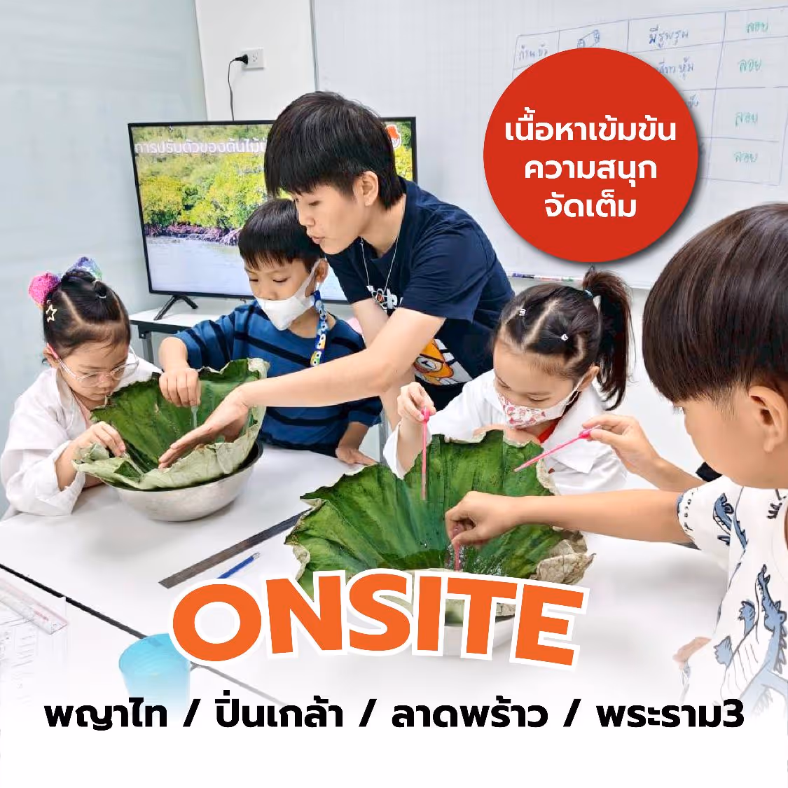 สถาบันสอนวิทยาศาสตร์ ติววิทย์ สสวท.วิทย์ ประถม | ซายเอเทีย